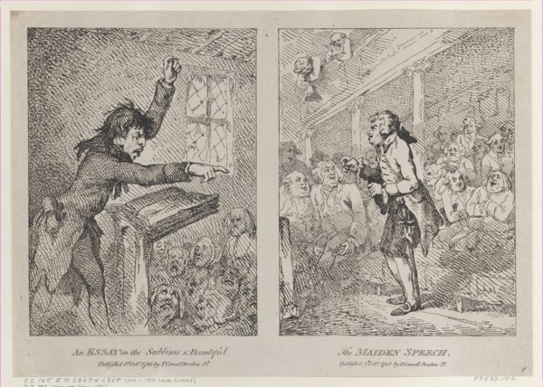 An Essay on the Sublime & Beautiful; The Maiden Speech