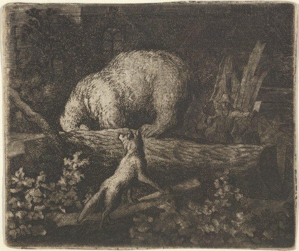 The Bear with His Snout and Forepaws Caught in the Trunk of a Tree. From Hendrick van Alcmar's Renard The Fox