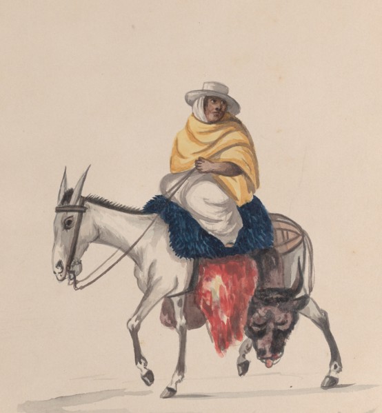 A butcher riding a donkey, from a group of drawings depicting Peruvian costume, ca. 1848.