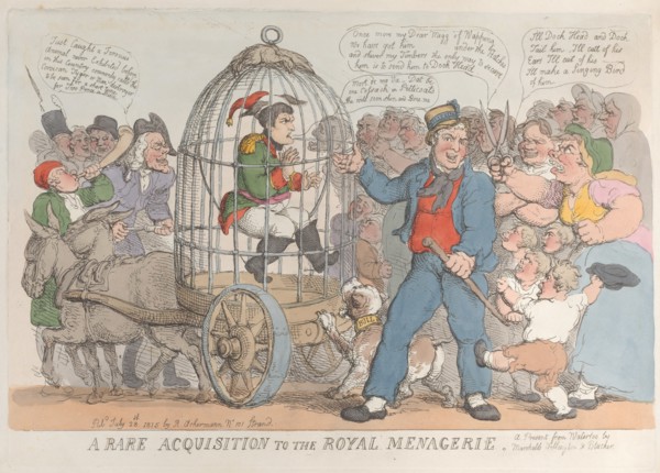 A Rare Acquisition to the Royal Menagerie, July 28, 1815.