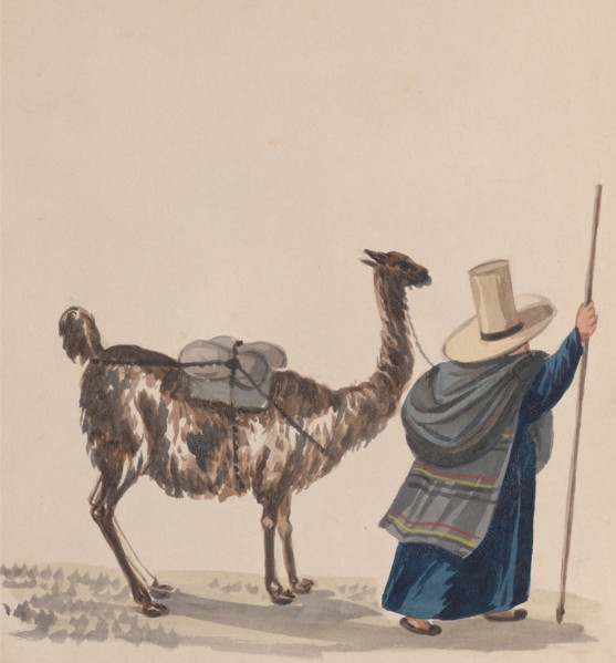 A woman walking with a Llama, from a group of drawings depicting Peruvian costume, ca. 1848.