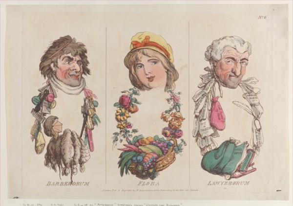 Barberorum, Flora, Lawyerorum, August 15, 1800.