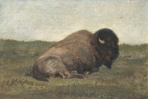 Bison Lying Down, 1810-75.