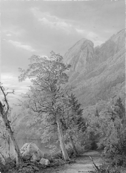Eagle's Nest, Franconia Notch, 1873.