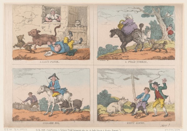 Pull'd Turkey, Collard Pig, A Calf's Pluck and Rusty Bacon, 1807.