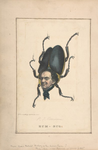 Hum-Bug (P. T. Barnum), from the Comic Natural History of the Human Race, 1851.