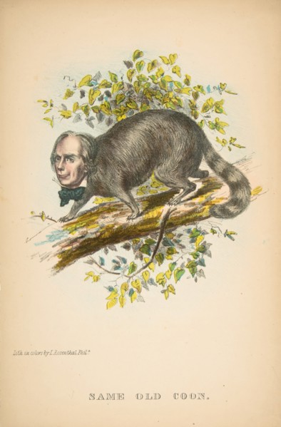 Same Old Coon (Henry Clay), from The Comic Natural History of the Human Race, 1851.