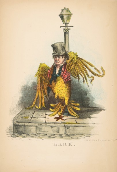 Lark, from The Comic Natural History of the Human Race, 1851.