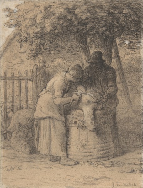Sheepshearing Beneath a Tree, ca. 1854.