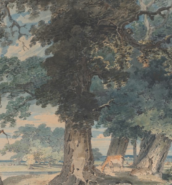 Deer in Windsor Forest, 1793-94.