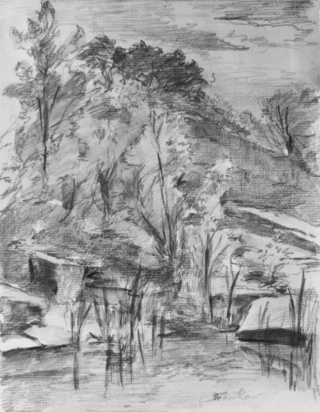Trees and Stream, .