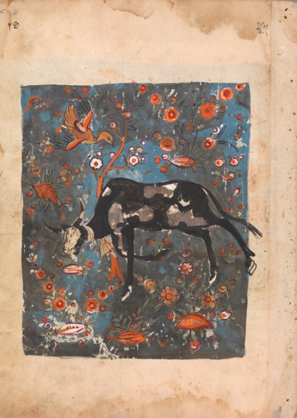 The Ox Shanzabeh Left Behind, Grazing in the Territory of the Lion King, Folio from a Kalila wa Dimna, 18th century.
