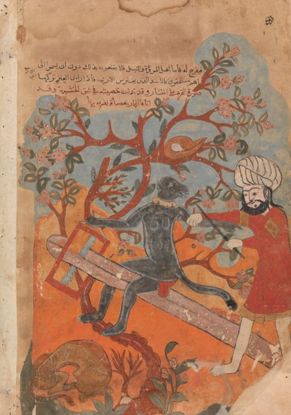 The Monkey Tries Carpentry, Folio from a Kalila wa Dimna, 18th century.