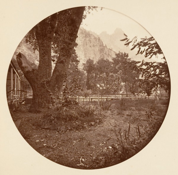 [Yosemite National Park, California], ca. 1878.