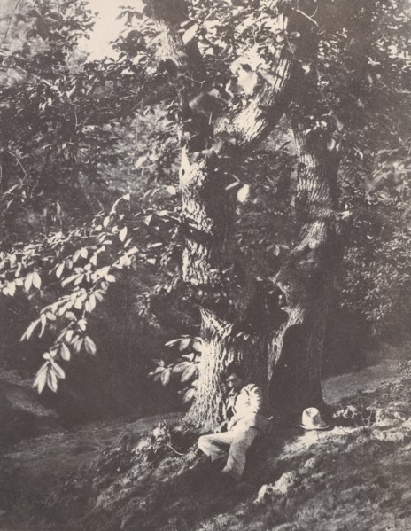 Homme allongé au pied d'un chàtaignier, 1850-53.