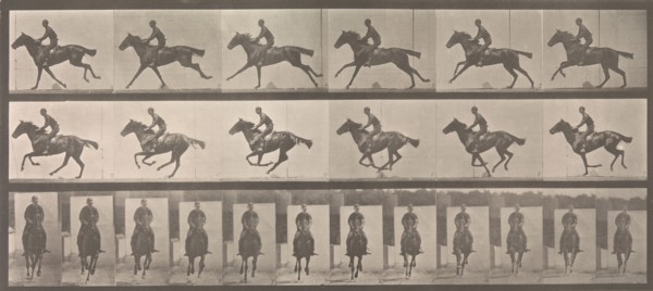 [Horse and Rider Galloping], 1883-86, printed 1887.