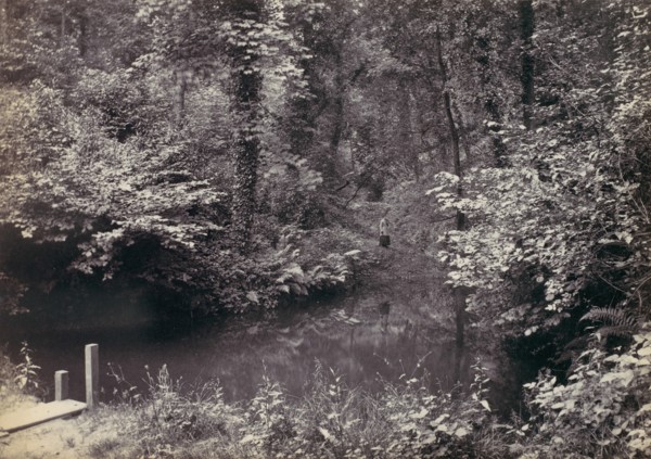 Colwyn Bay. The Pool in the Wood, 1870s.