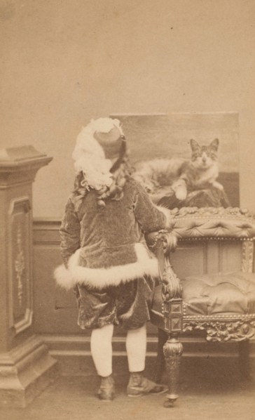 La veste de cygne, 1860s.