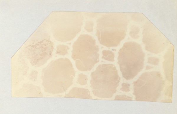 Lace in the Solar Microscope, 400 times magnified in surface, 1839.