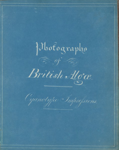 Photographs of British Algae: Cyanotype Impressions, ca. 1853.