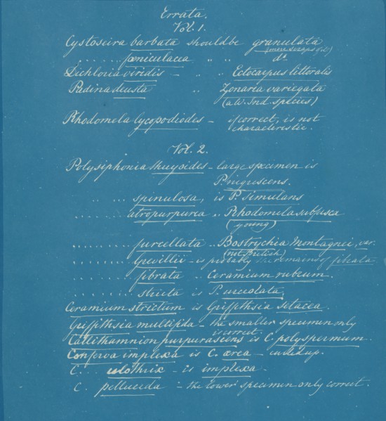 Errata to Photographs of British Algae: Cyanotype Impressions, ca. 1853.