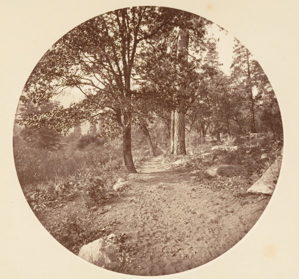 In the Yosemite Valley, ca. 1878.