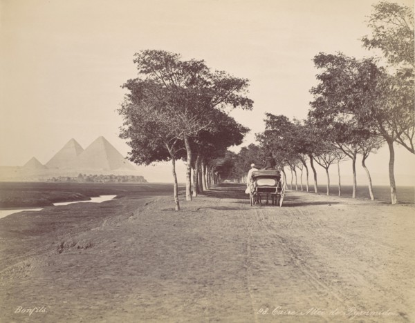 Caire. Allée de Pyramides, ca. 1870.