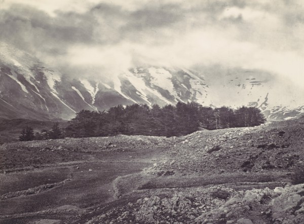 Distant View of the Cedars of Lebanon, ca. 1857.