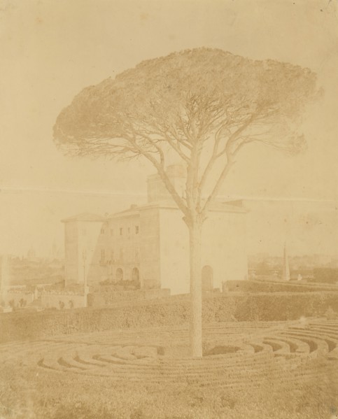 [Tree in Formal Garden Outside Palazzo], 1860s-70s.