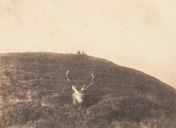 Hunters Stalking a Deer, ca. 1857.