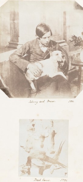 Johnny and Drum; Dead Game, 1853-56.