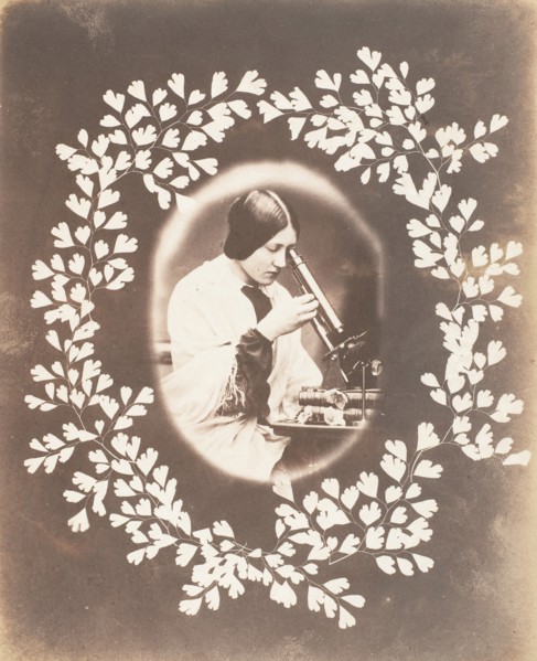 Thereza, 1853-56.