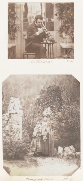 The Microscope; Thereza and Elinor, 1853-56.