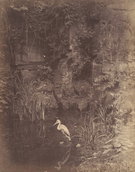 Piscator, No. 2, 1856.