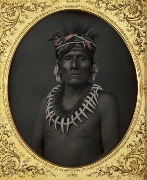 Kno-Shr, Kansas Chief, 1853.