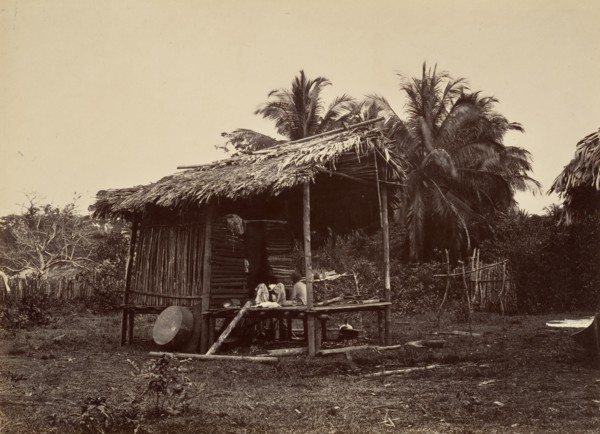 Tropical Scenery, Native Hut, Turbo, 1871.