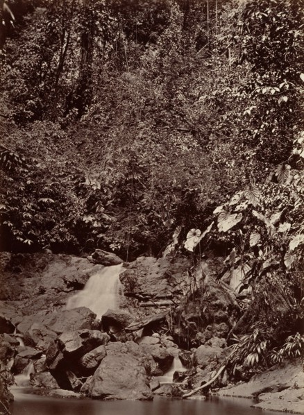 Tropical Scenery, Cascade, Limon River, 1871.