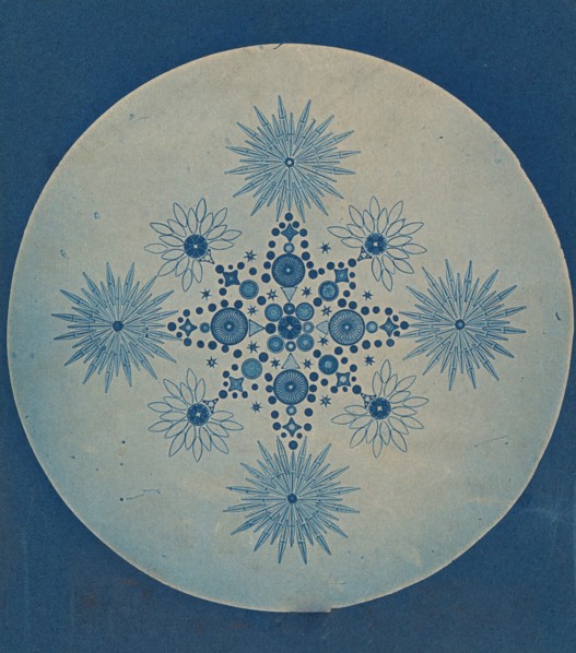 [Frustules of Diatoms], ca. 1870.