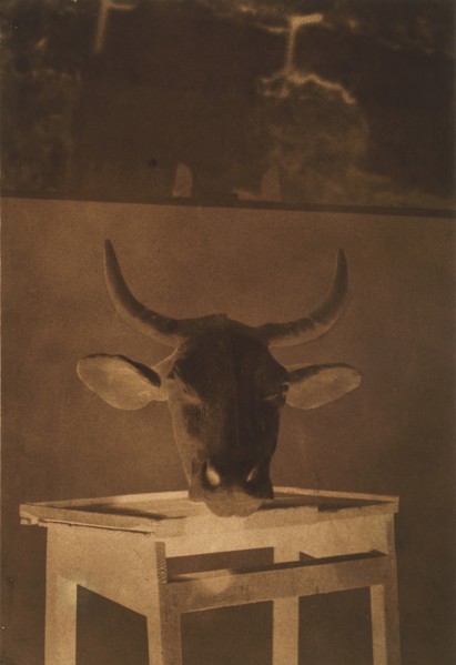 [Still Life], 1850.