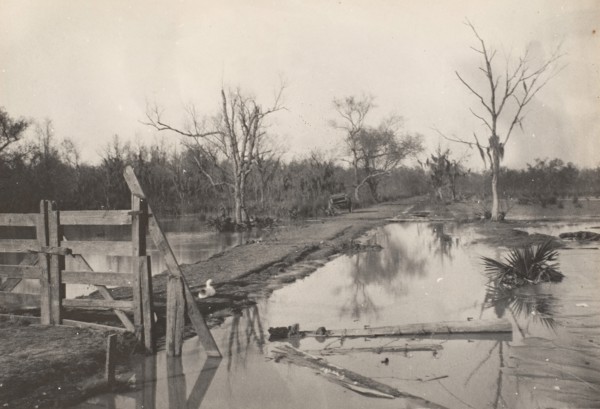 Road Through Flooded Land, 1890s-1900s.
