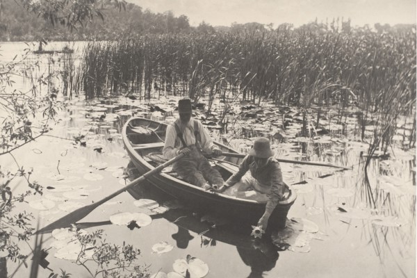 Gathering Water-Lilies, 1886.