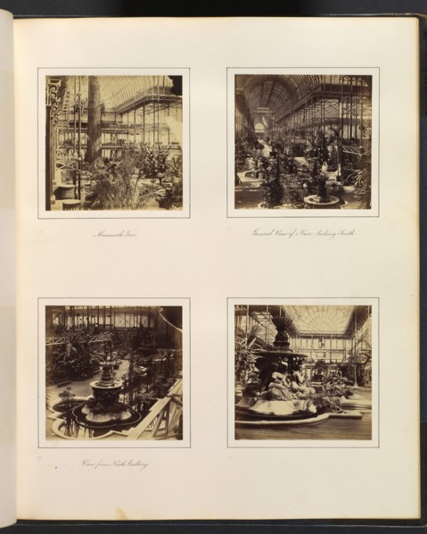 [Mammoth Tree; General View of Nave, Looking South; View from North Gallery; Classical Fountain], ca. 1859.
