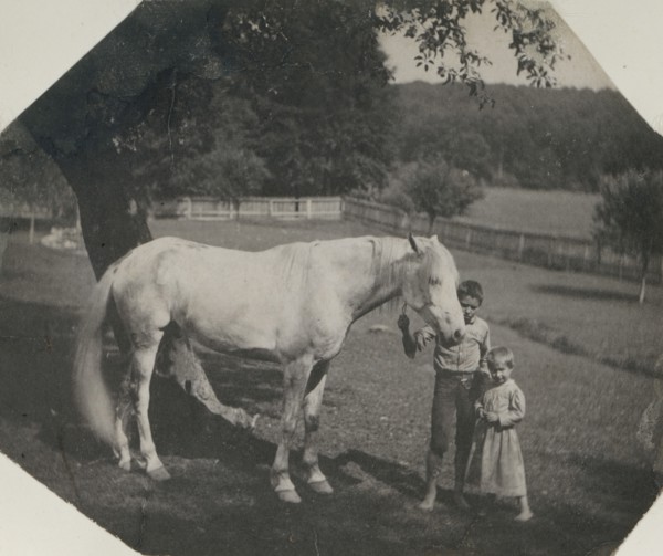 Thomas Eakins's Horse Billy and Two Crowell Children at Avondale, Pennsylvania, ca. 1892.