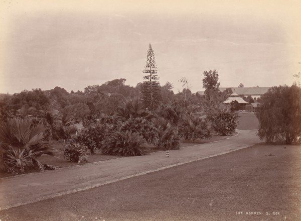 Botanical Garden, 1860s-70s.