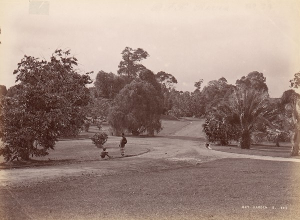 Botanical Garden, 1860s-70s.