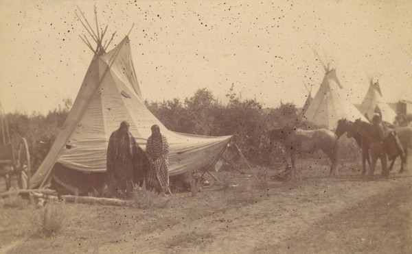 Native American Women and Horses by Teepee in Camp, 1880s-90s.