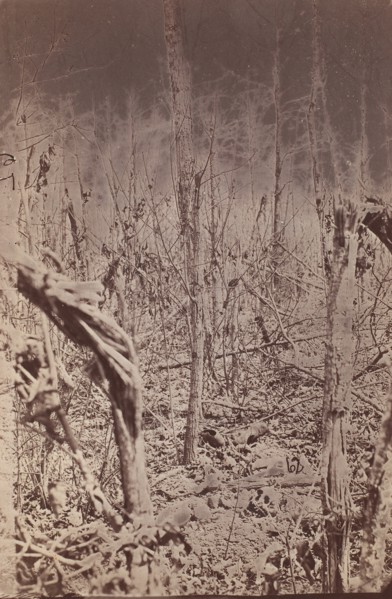 The Wilderness Battlefield, 1865-67.