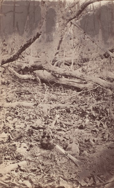 The Wilderness Battlefield, near Spotsylvania, Virginia, 1865 (?).