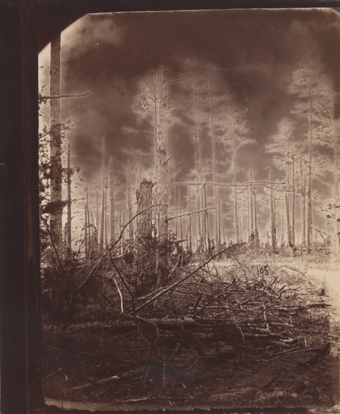 The Wilderness Battlefield, 1865-67.