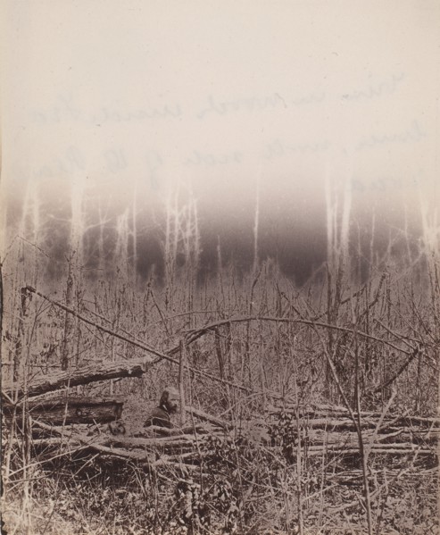 The Wilderness Battlefield, 1864.